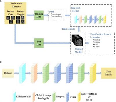 EFF_D_SVM: a robust multi-type brain tumor classification system